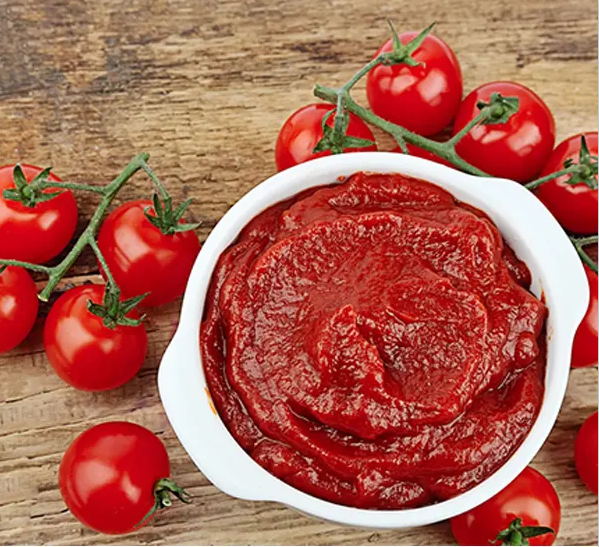 Aditivos de calidad alimentaria Extracto vegetal deshidratado en polvo de tomate