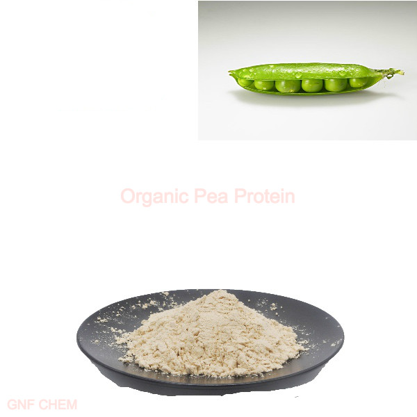 Los aditivos alimentarios califican la proteína de guisante orgánica CAS 90-10-0