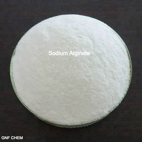 Los aditivos alimentarios tensioactivos absorbentes califican el alginato de sodio CAS 9005-38-3