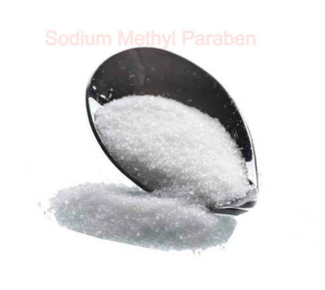 Antioxidants Preservative Sodium Methyl Paraben Antioxidants Preservative Sodium Methyl Paraben